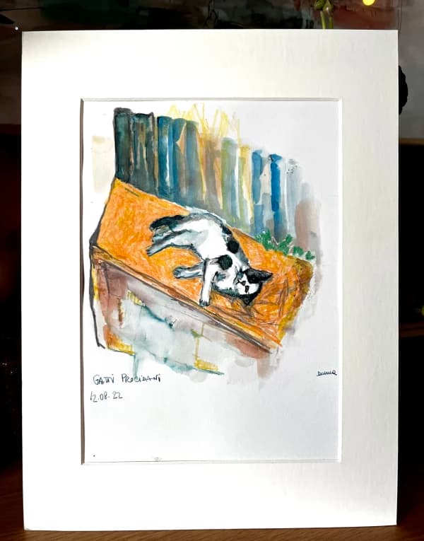 Gatti Procidani